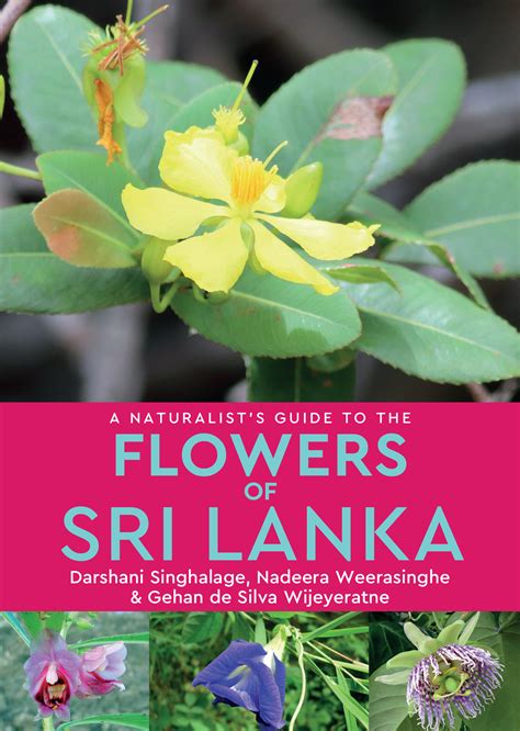 Flora of Sri Lanka.